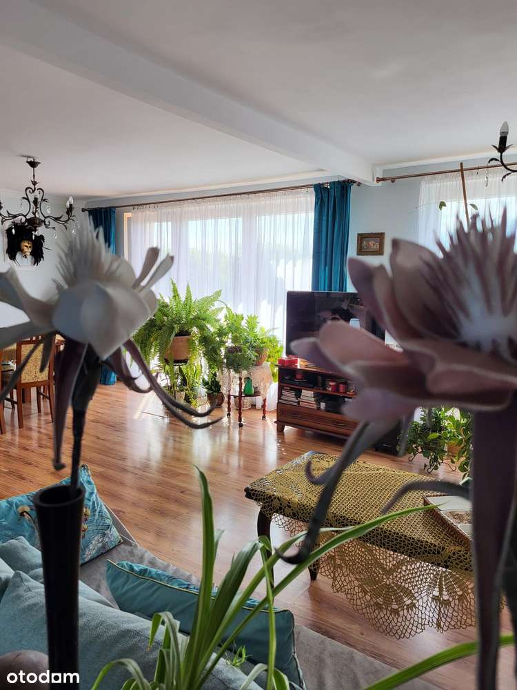 Wspaniały dom na sprzedaż w super lokalizacji Węgrowo - Pełny obrazek: 5/13