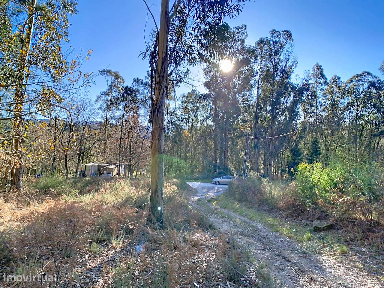 Terreno em Moreira do Rei-6