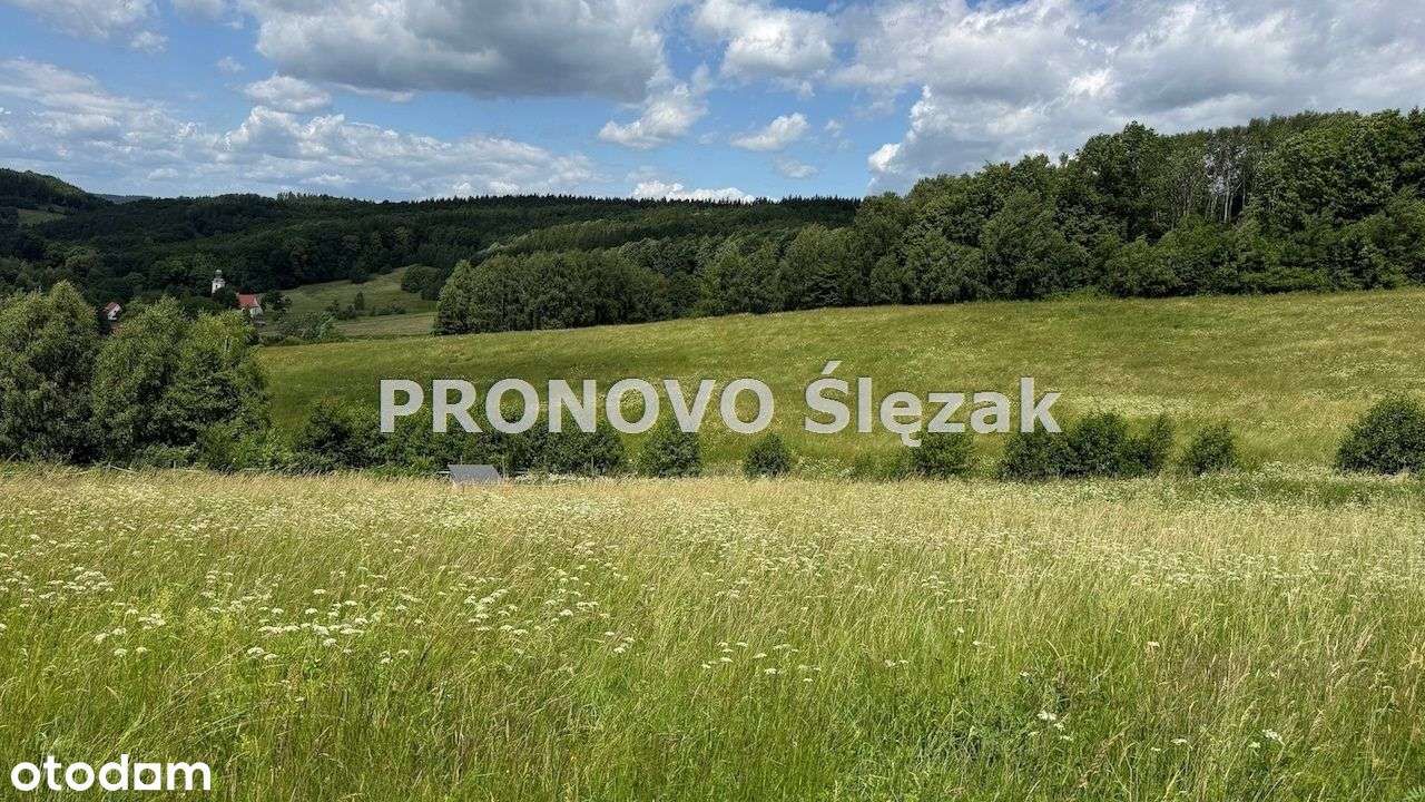 Sprzedam działkę 30 arów Michałkowa-5