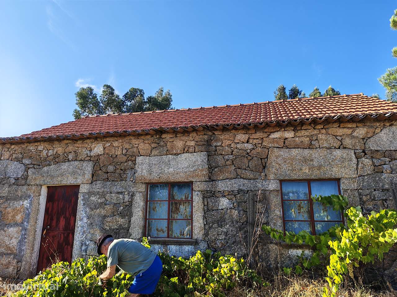 Terreno com casa - Grande imagem: 2/13