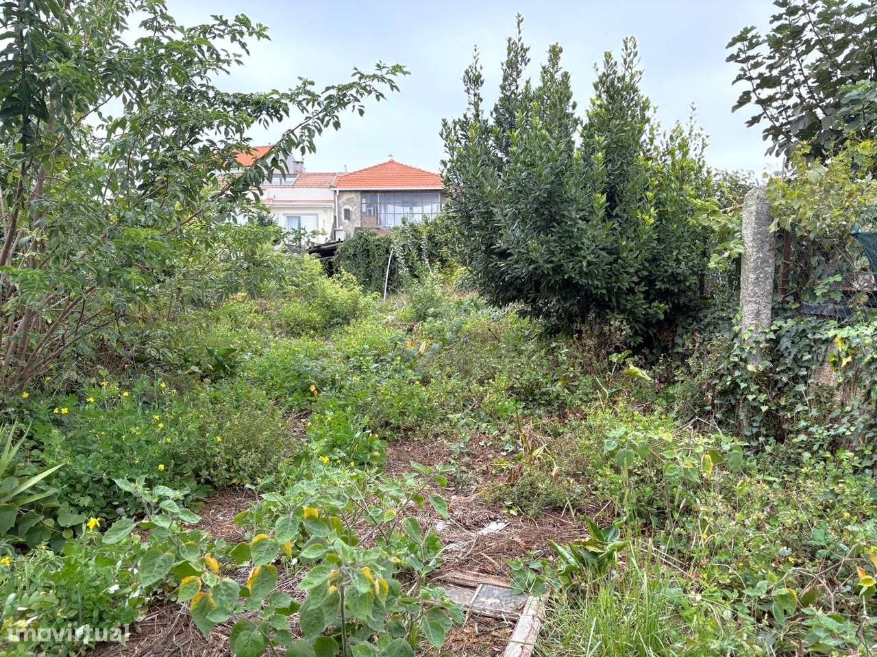 Moradia para reabilitar ou aumentar num lote de 429 m2 em Aldoar - Grande imagem: 2/6