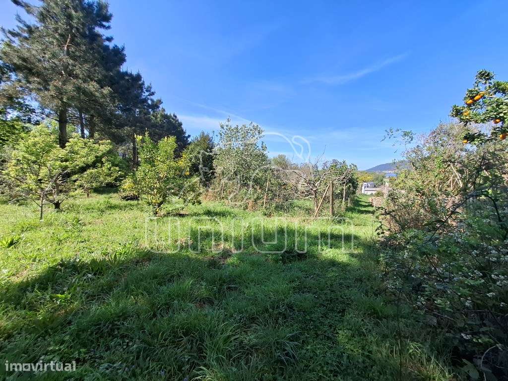 Fabuloso terreno para venda em Seixas-4