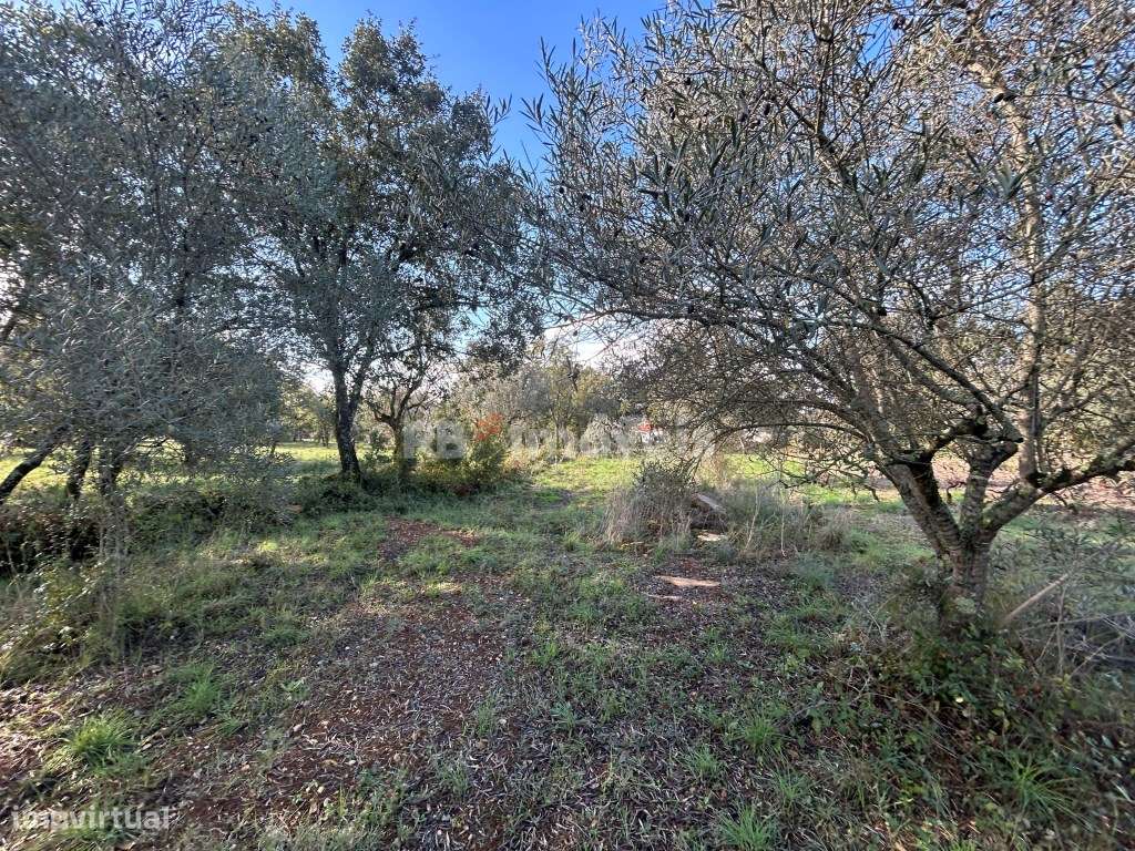 Terreno rústico - Carvalhal da Póvoa, Tomar - Grande imagem: 4/17