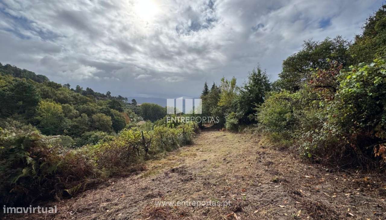 Venda de Terreno, em Stª Cruz do Douro, Baião - Grande imagem: 5/29