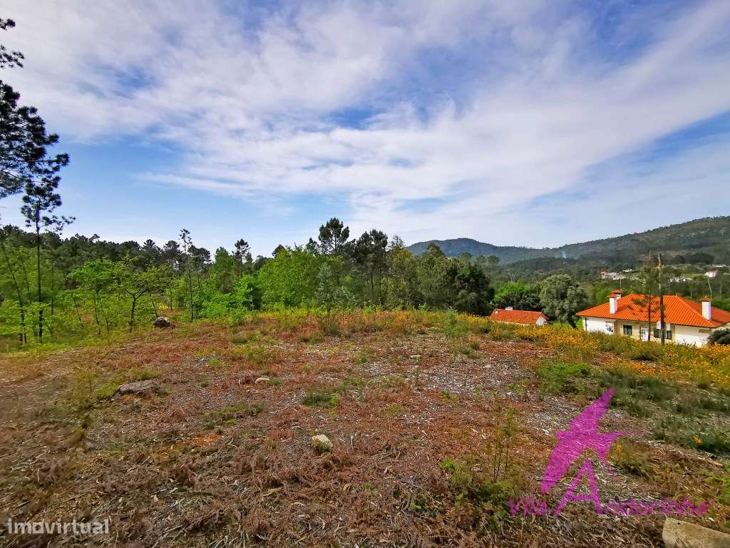 Terreno em Nogueira com vista desafogada - Grande imagem: 3/20