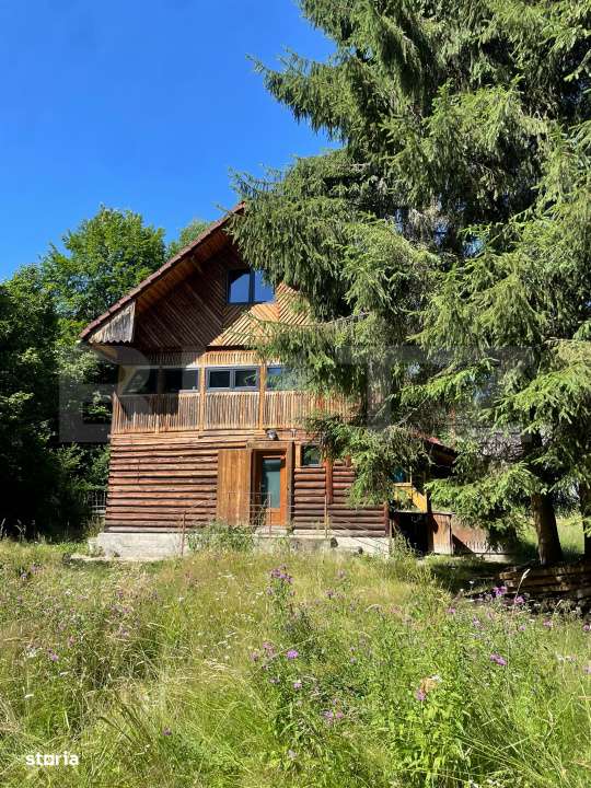 Cabana cu parau si brazi maturi, 1400mp, Valea Fericirii