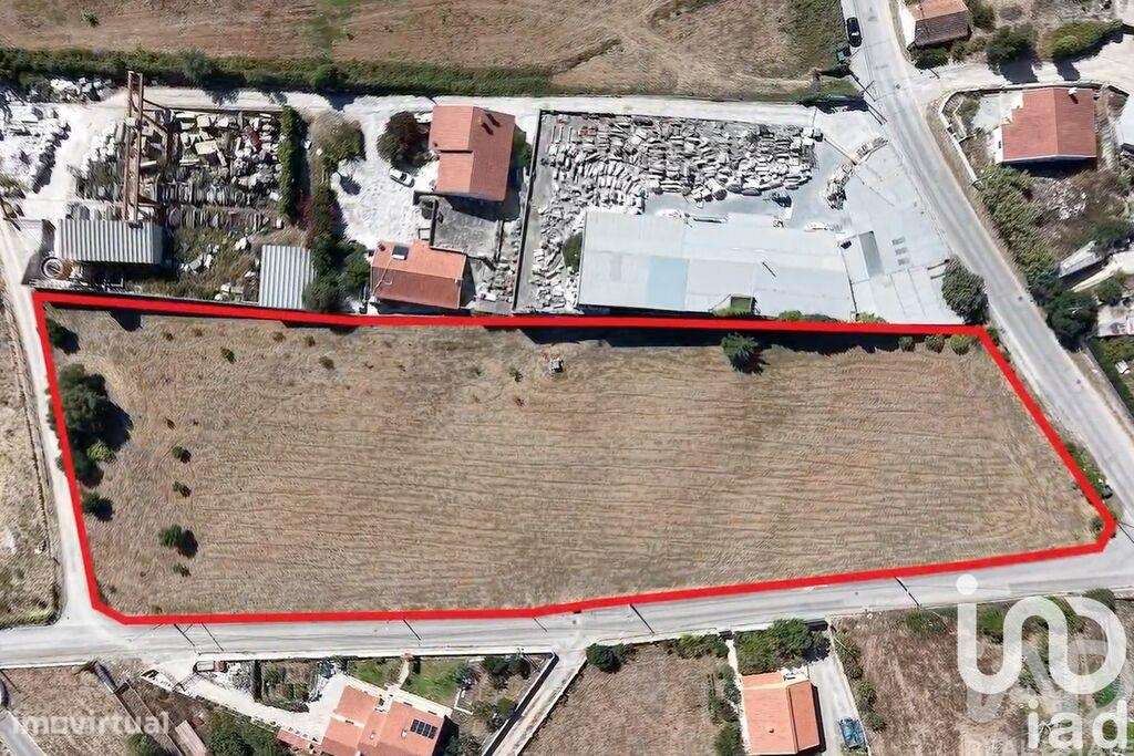 Terreno em Sesimbra (Castelo) - Grande imagem: 3/11