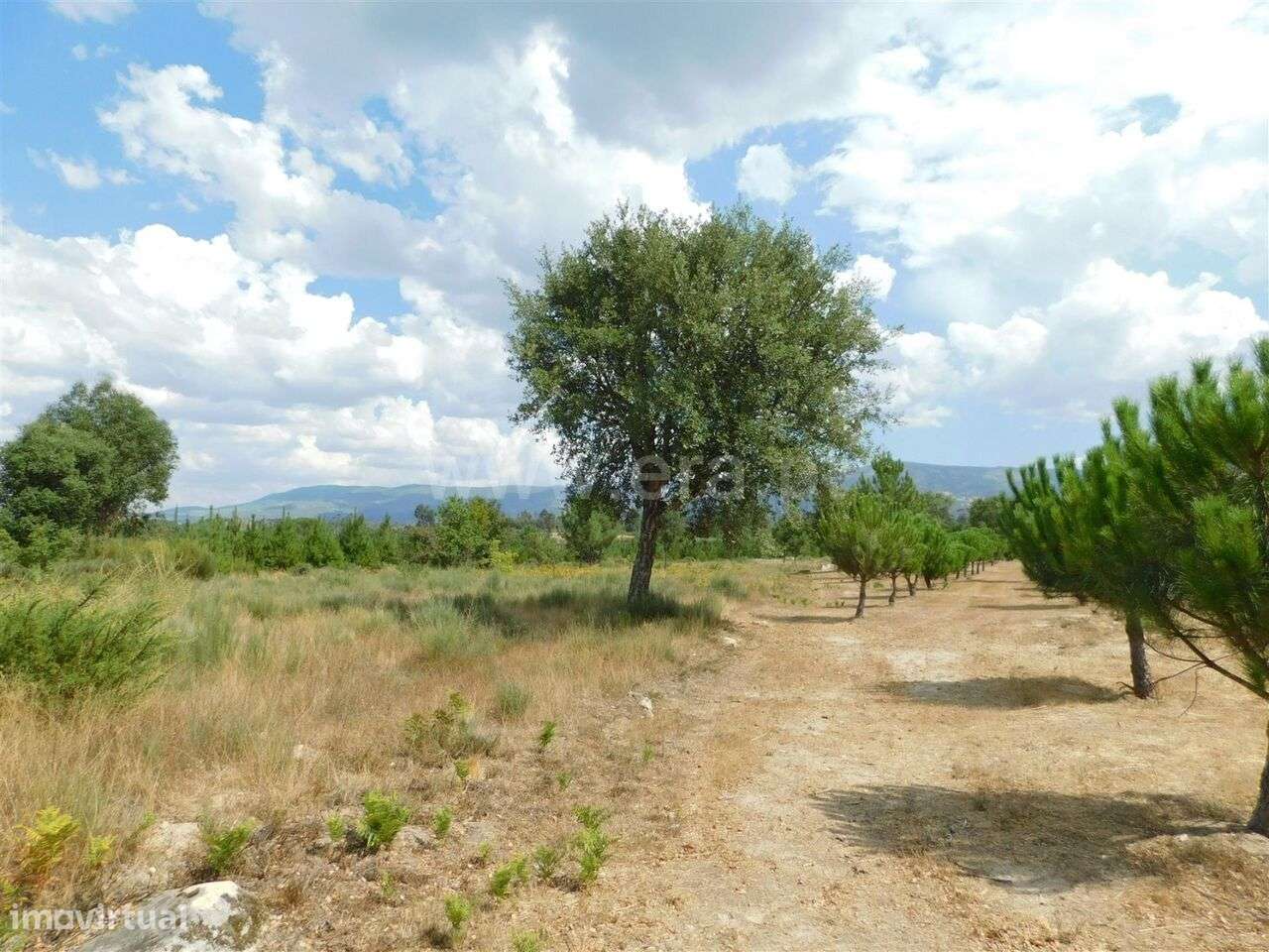 Quinta / Seia, Santa Comba - Grande imagem: 5/20