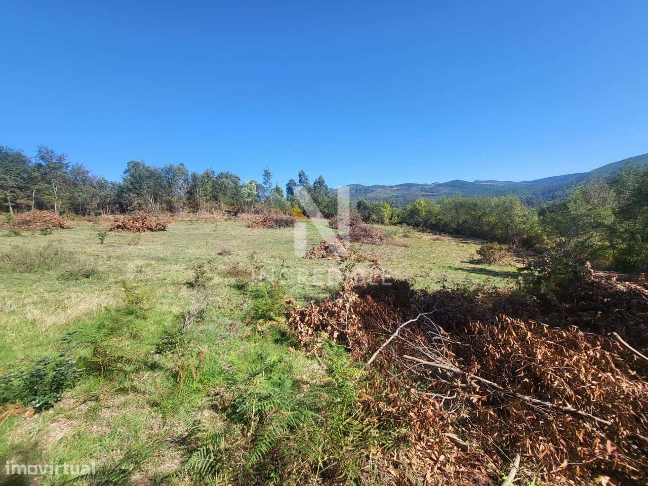 Terreno  Venda em Bucos,Cabeceiras de Basto-5
