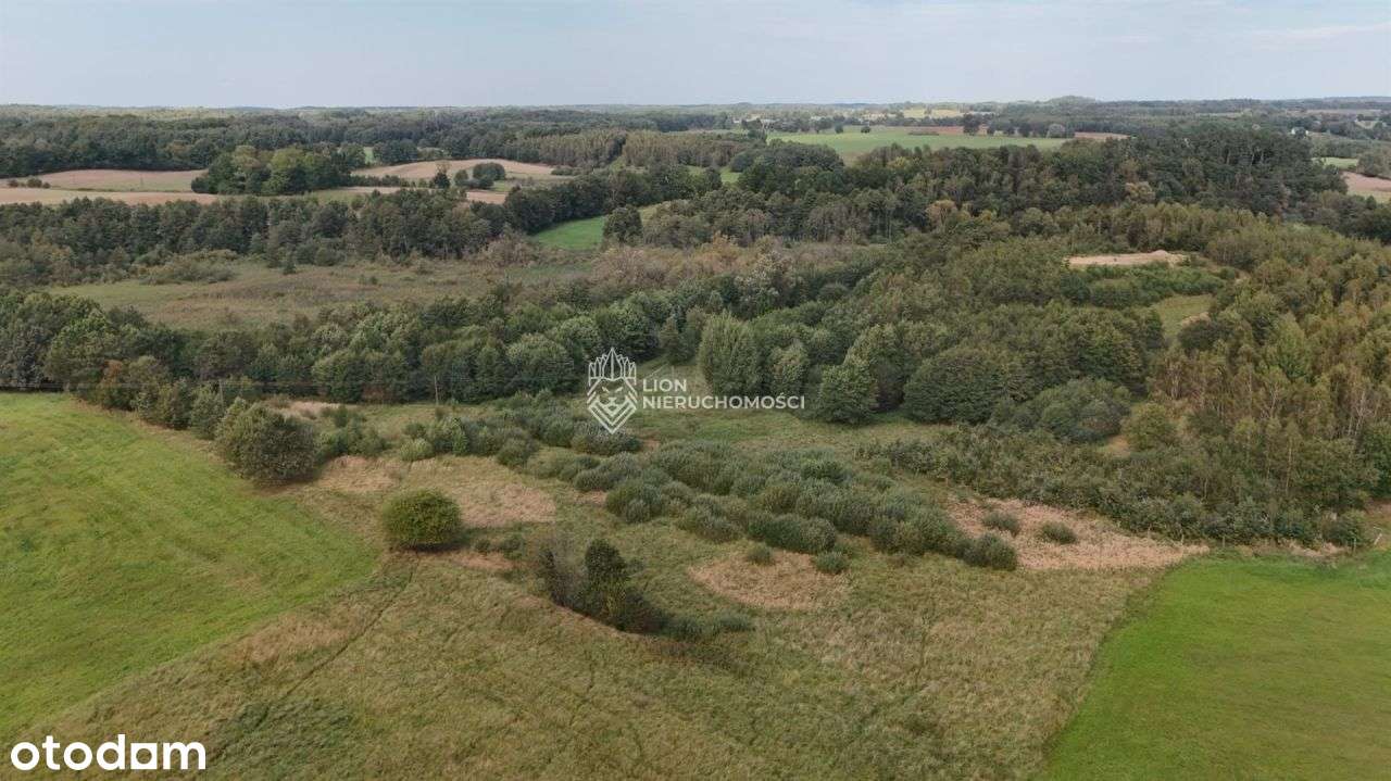 6 działek na sprzedaż w Ostrowicach gm.Drawsko Pom - Pełny obrazek: 4/5