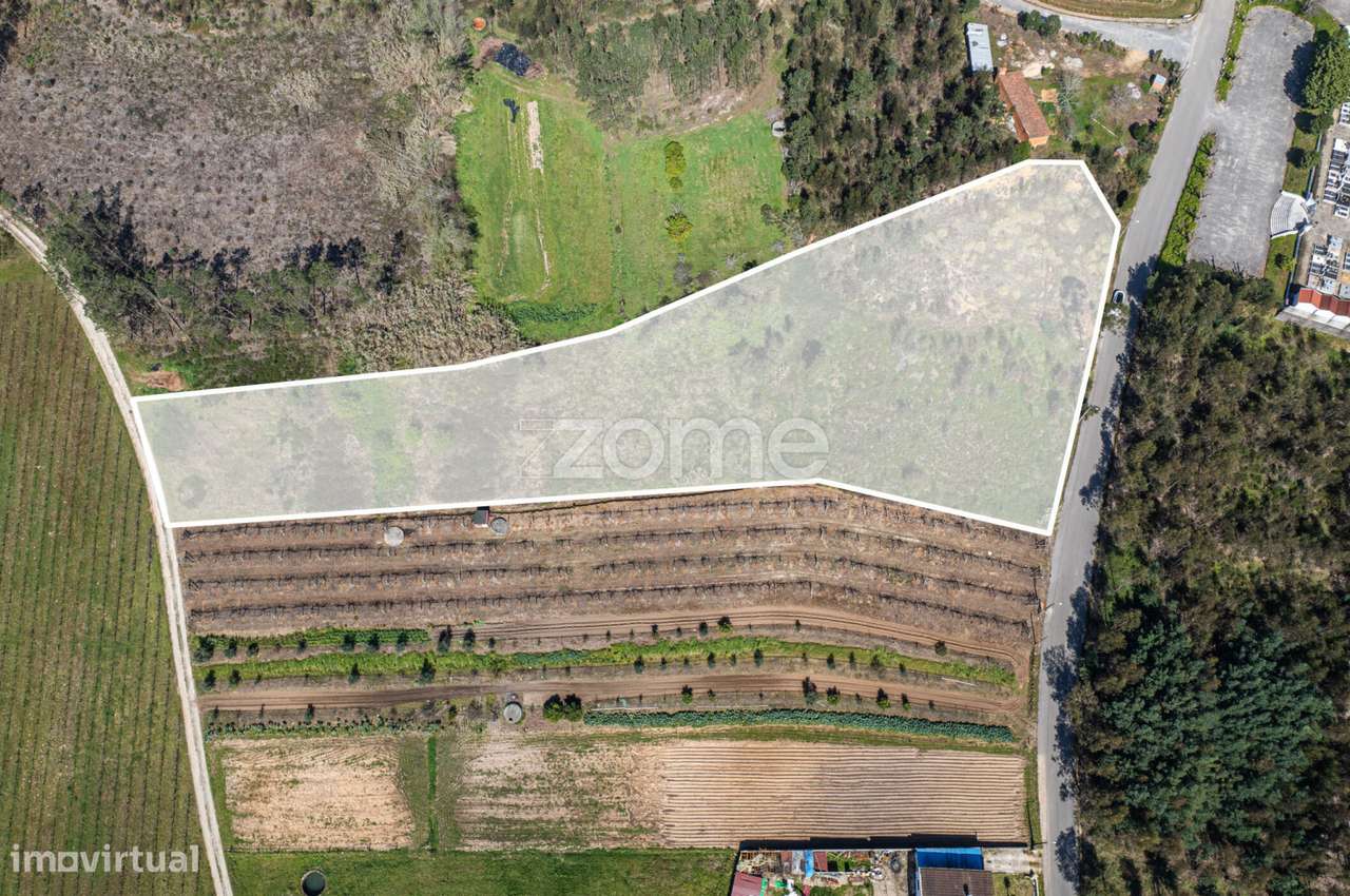 Terreno Urbanizável c/ 67m de frente em Anadia - Grande imagem: 4/15