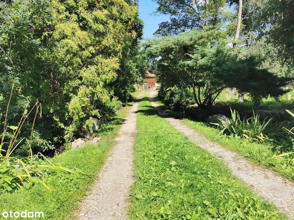 magiczne siedlisko w Foluszu koło Pleszewa-16