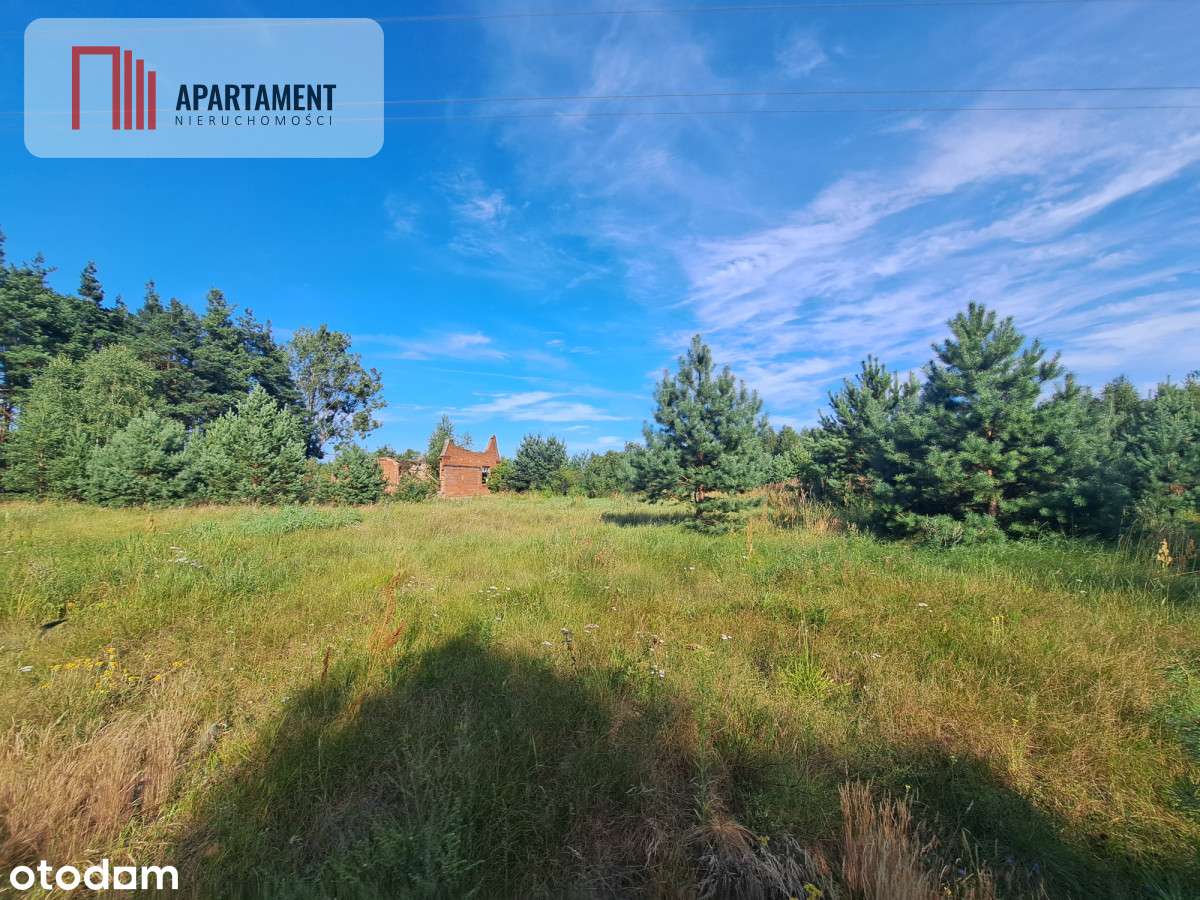 Działka przy bocianim gnieździe Bory Tucholski - Pełny obrazek: 2/5