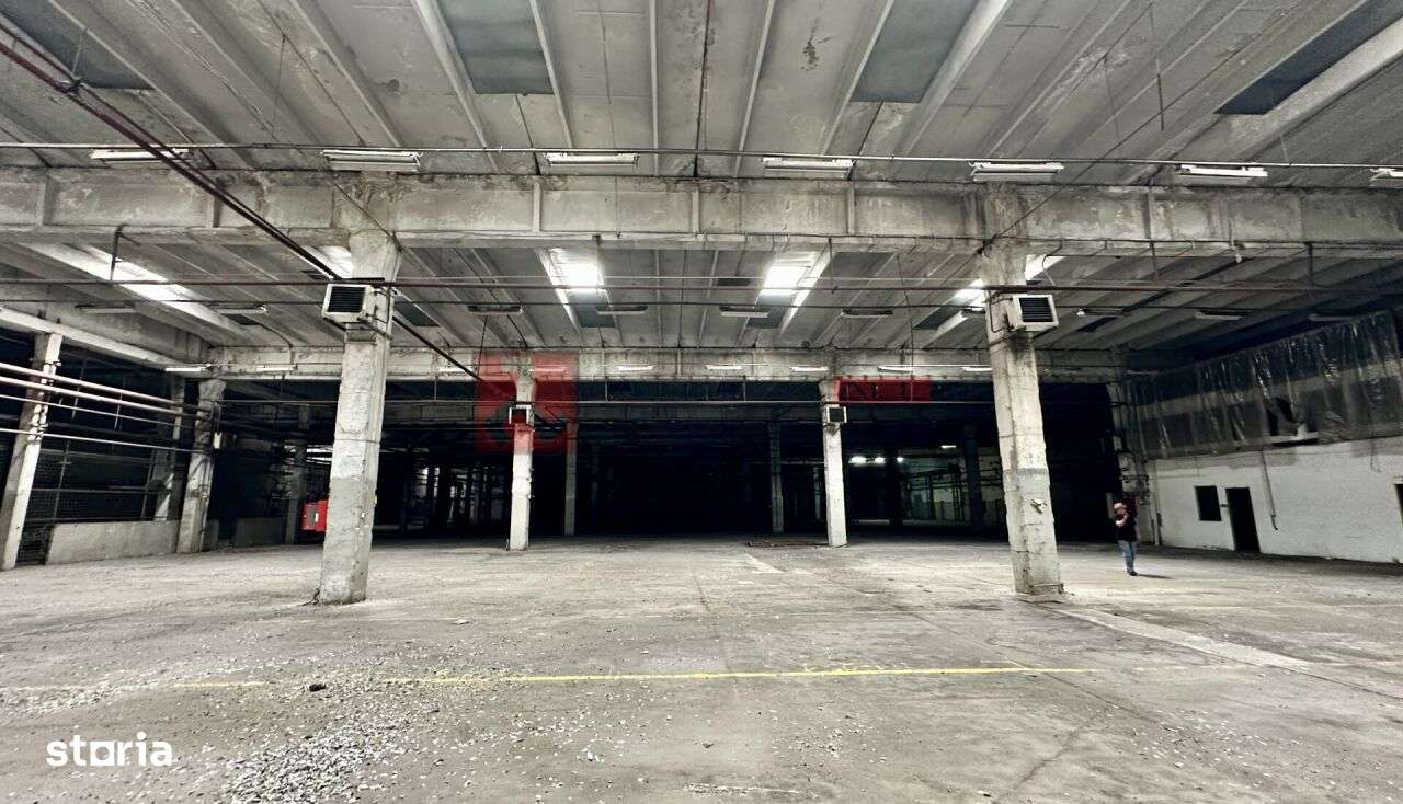 HALA 6000 MP - PRET ATRACTIV - ACCES FACIL - CODLEA - Imagine principală: 5/7