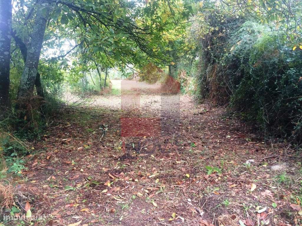 Terreno agrícola, Portela das Cabras - Grande imagem: 5/8