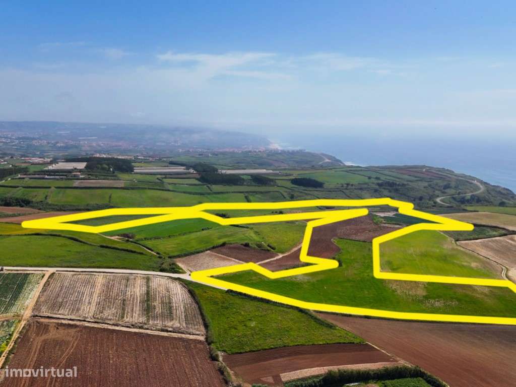 Venda de 2 Terrenos Agrícolas na zona do Paimogo, Lourinhã-16