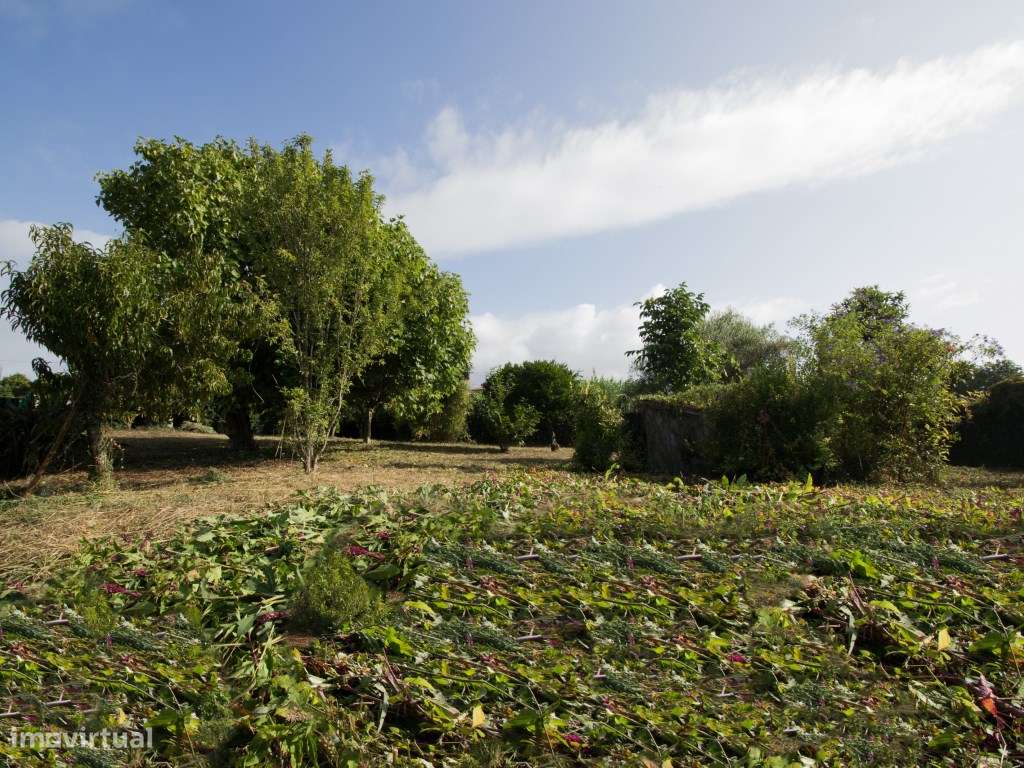 Terreno com 1.285 m² | Ribeira , Ponte de Lima - Grande imagem: 4/17