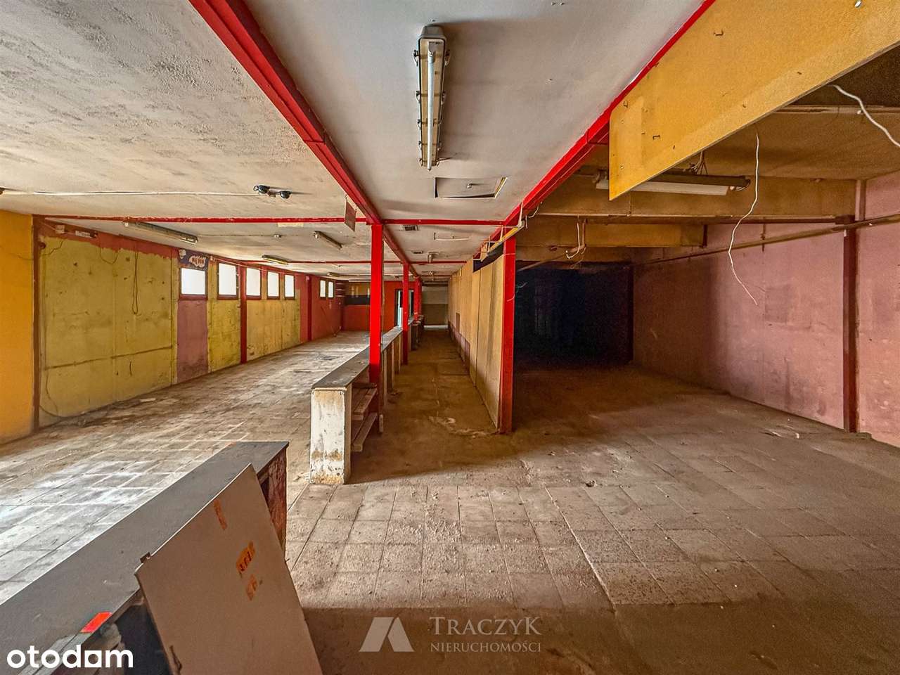 Dwie osobne hale, duży plac, super infrastruktura - Pełny obrazek: 4/15