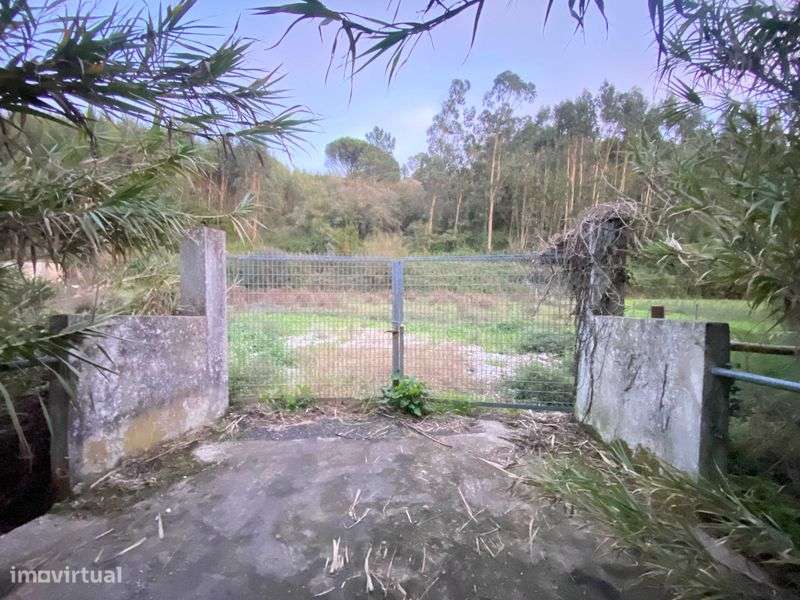 Terreno com 6499m2 e poço - Frente estrada Nacional - Grande imagem: 4/4