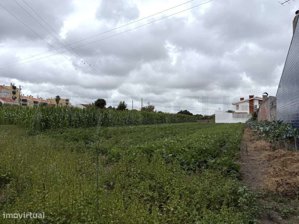 Terreno com 20m de frente para construção - São Bernardo - Grande imagem: 2/21