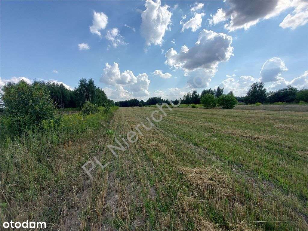 Wymiarowa Działka. Cisza I Spokój.-2