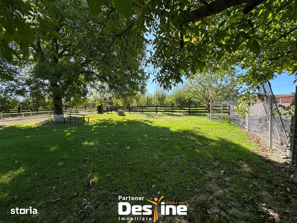 Bucovina Mica - Proprietate cu potential turistic in Tatarusi - Imagine principală: 2/12