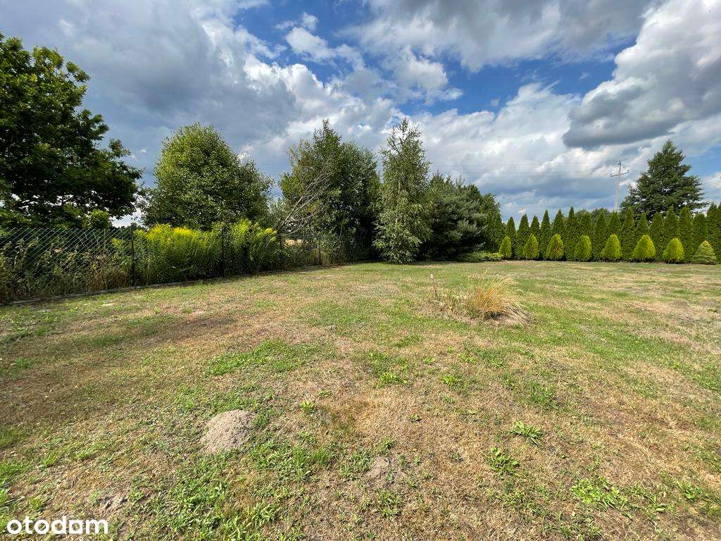 Działka rekreacyjna 1460 Feliksów Uzbrojona Las Cisza Duży Ogród MPZ - Pełny obrazek: 5/8