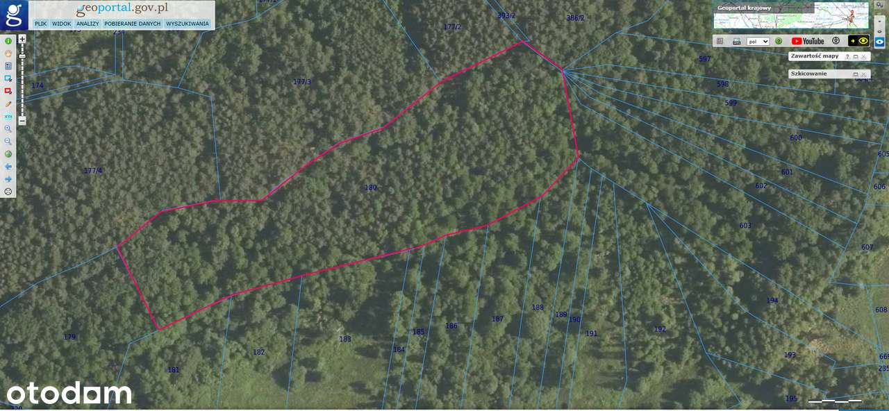 Sprzedam Las - Pełny obrazek: 5/5