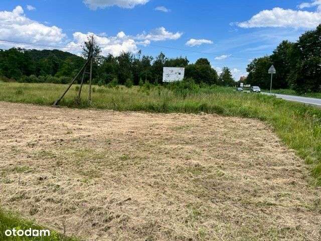 Działka usługowo-produkcyjna - Izdebnik - Pełny obrazek: 5/6