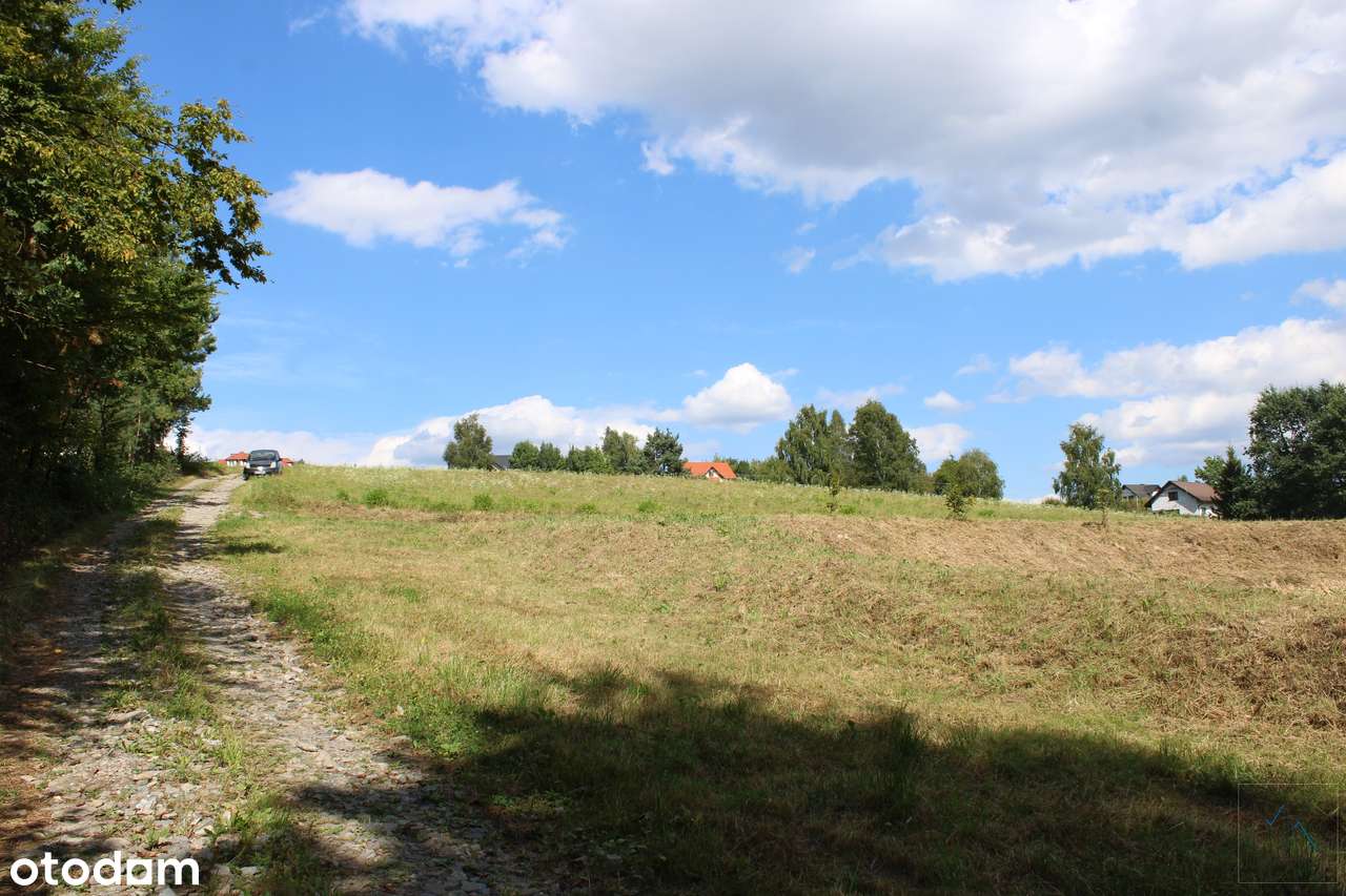 Kobylec, gmina Łapanów – działka budowlana z własnym stawem.-9