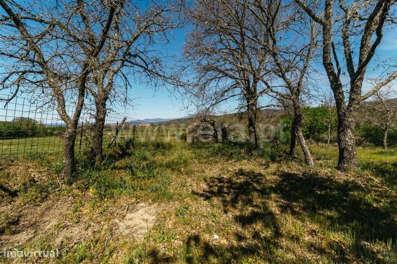 Terreno com ruina / Fundão, Pêro Viseu - Grande imagem: 2/14