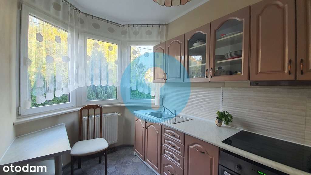 Obiekt idealny pod inwestycję o łącznej pow 309,98-19