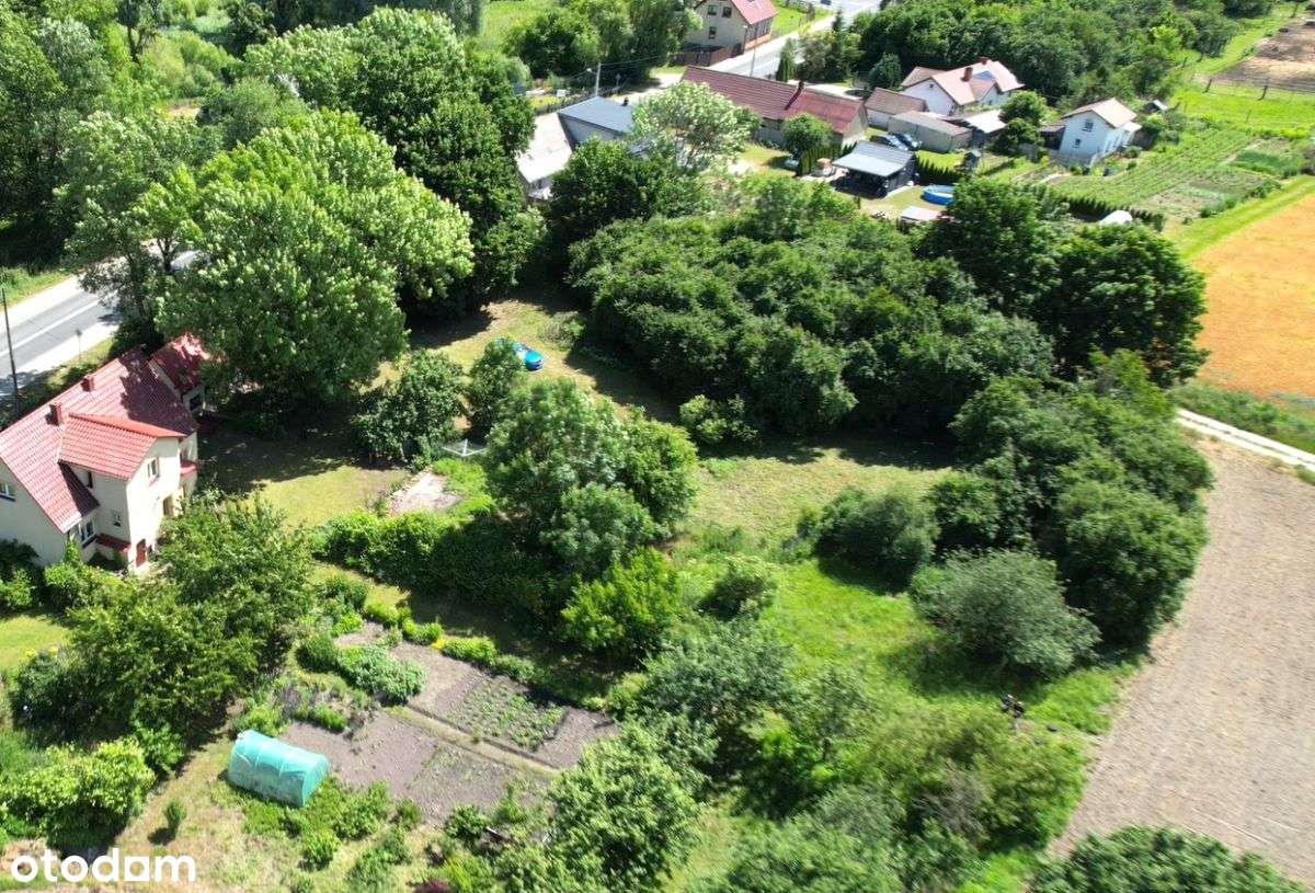 Na sprzedaż 12-arowa działka w Chwarszczanach.-11