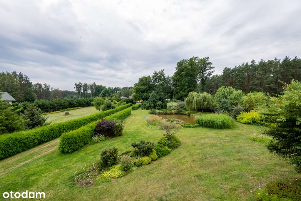 Blisko 2ha - działki budowlane i siedlisko - Pełny obrazek: 5/7