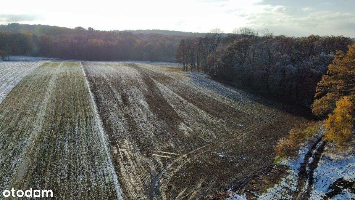 Działka Inwestycyjna/mpzp - Mn/ Okolice Obornik ŚL - Pełny obrazek: 4/13