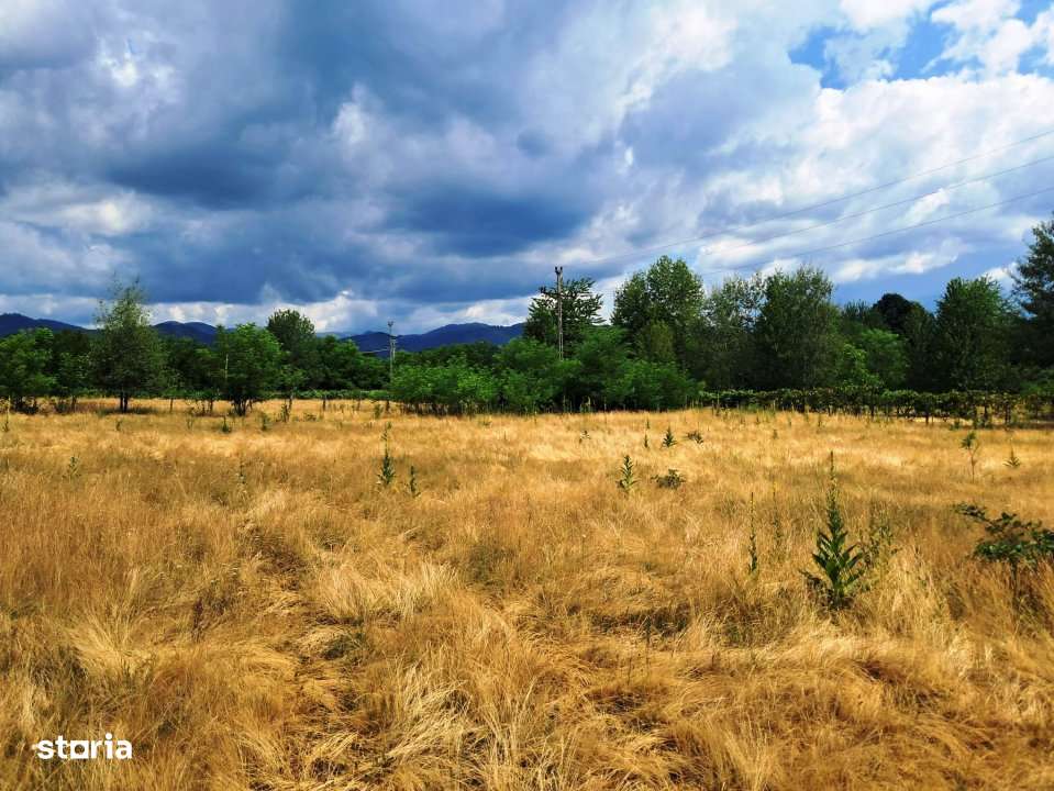 TEREN INTRAVILAN  POLOVRAGI - Imagine principală: 2/9