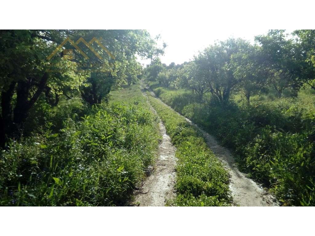 Quinta Boialvo em Vila Franca de Xira-10