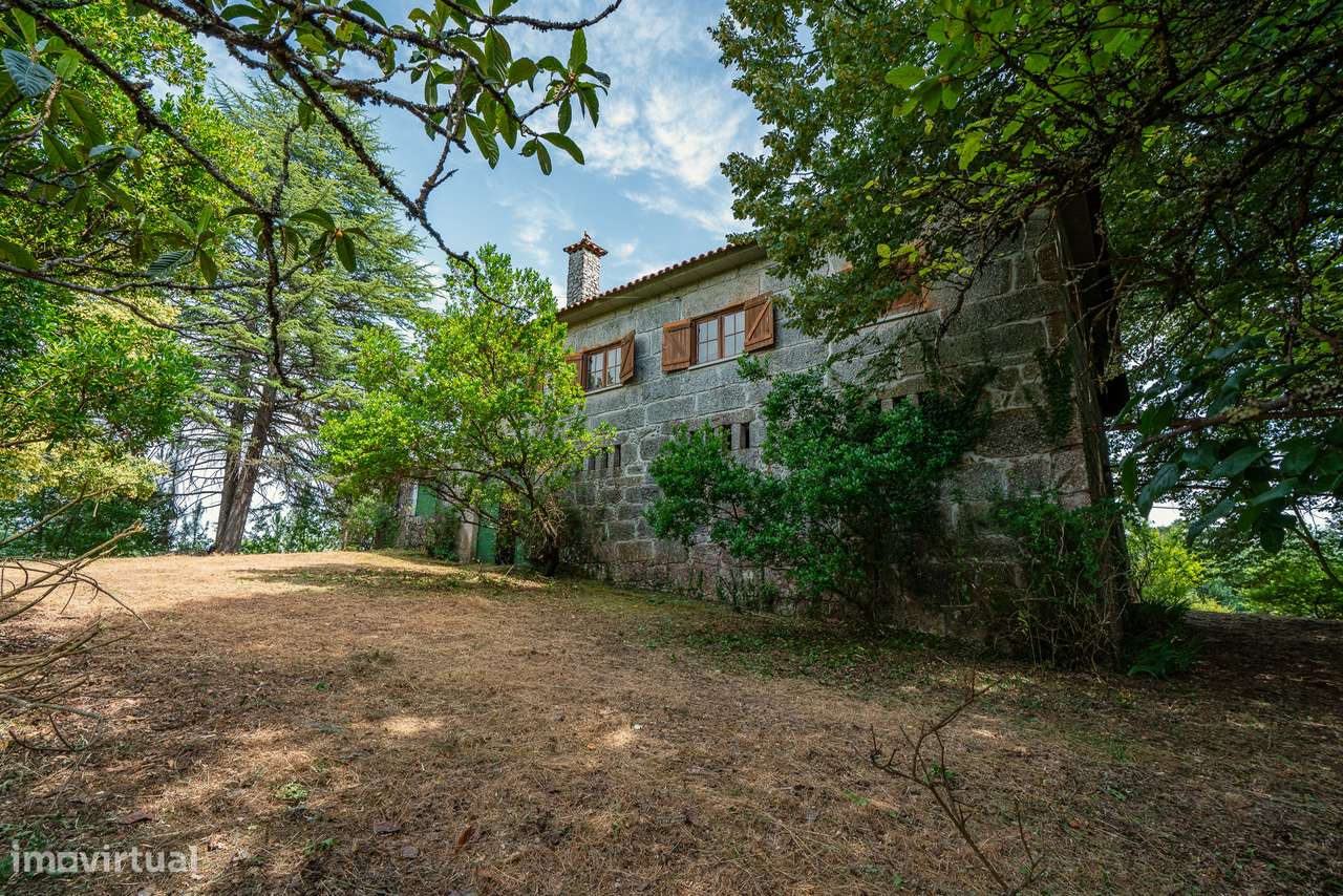 Quinta com 5,5 ha e Projecto Aprovado p/Hotel Rural 4 Estrelas - Viseu - Grande imagem: 2/21