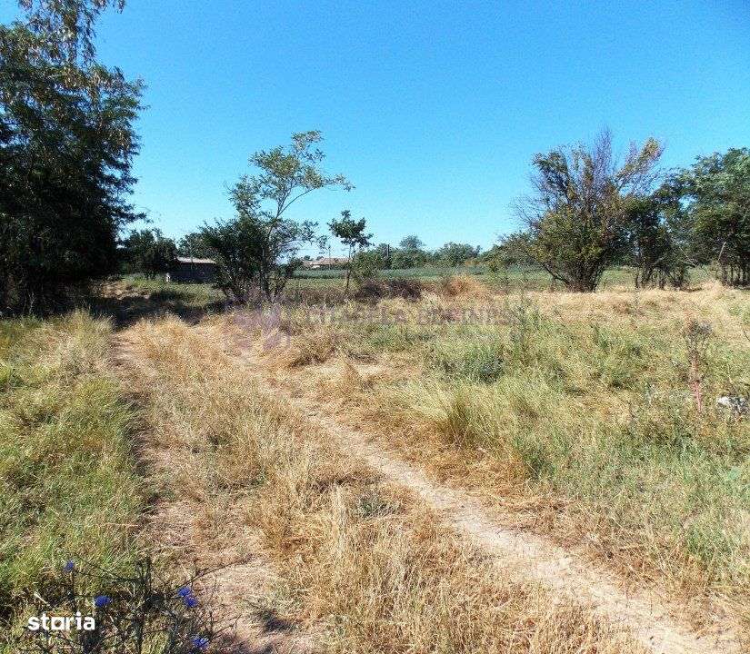 TUZLA - Teren intravilan 1000 mp, langa lacul Techirghiol!-5