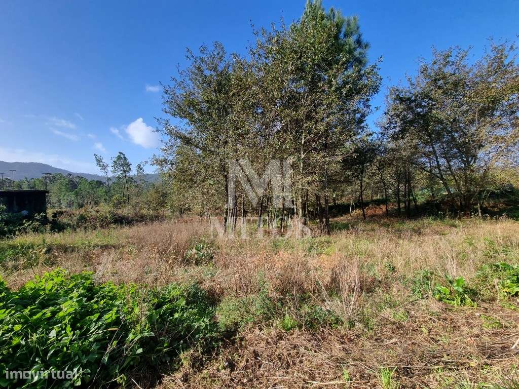 Terreno para construção - Nogueira - Grande imagem: 5/10