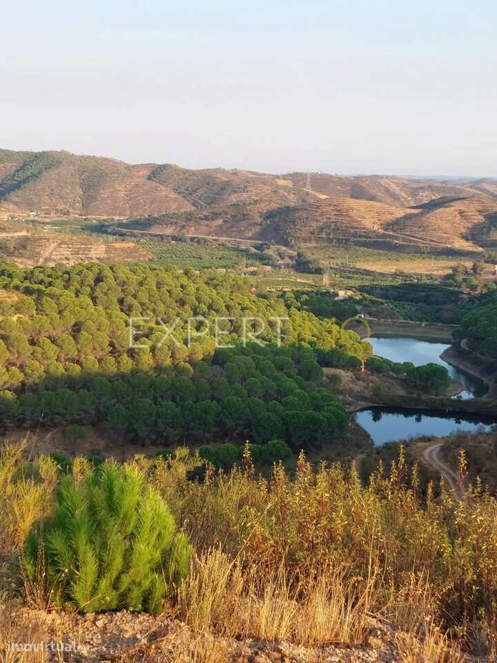 Quinta 218 ha no Algarve - Monchique - Grande imagem: 4/29