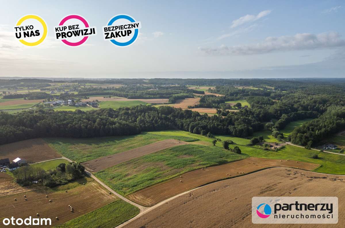 Barłomino | 2,44 Ha | Gmina Luzino - Pełny obrazek: 4/11