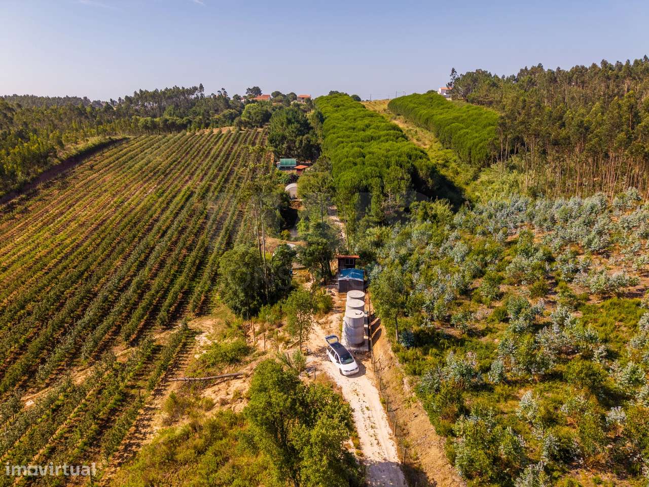 Terreno Agrícola na Fanadia | 16.100 m² de Potencial e Infraestrutu...-41