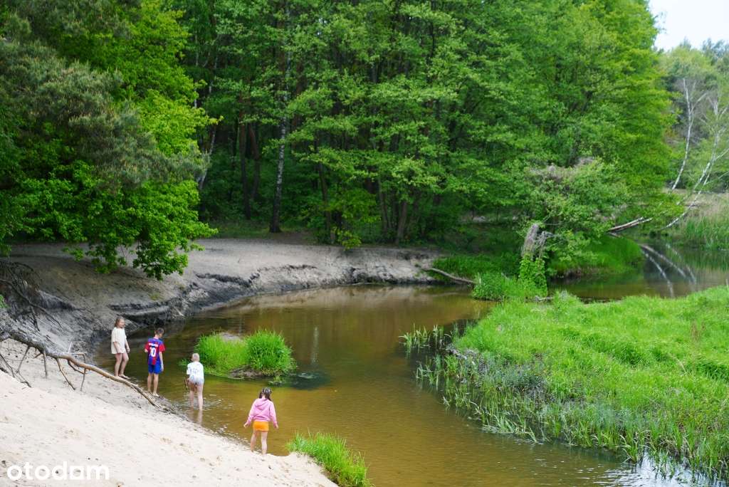 Budowlane przy lesie i rzece Grabia. Twoja sprawdzona inwestycja RATY-8