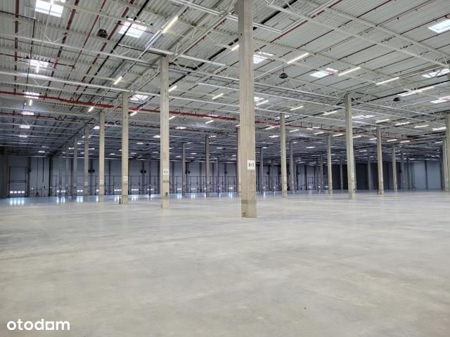 Magazyn na wynajem w Bydgoszczy/ 1600 m2