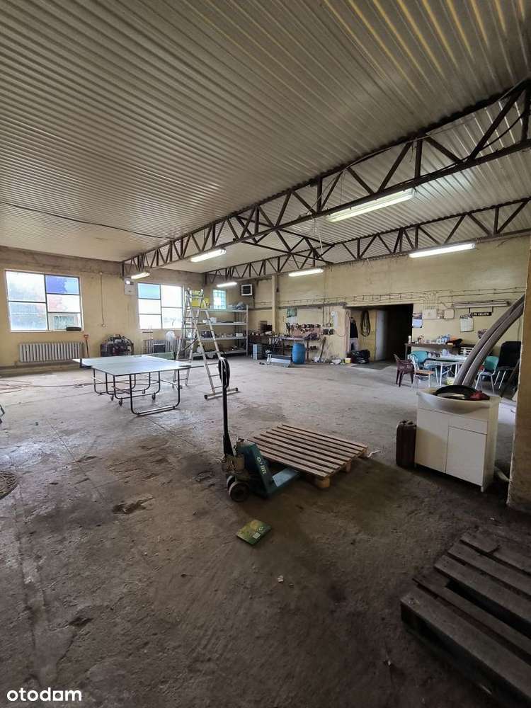 Hala pod magazyn, produkcje, handel itp - Pełny obrazek: 5/5
