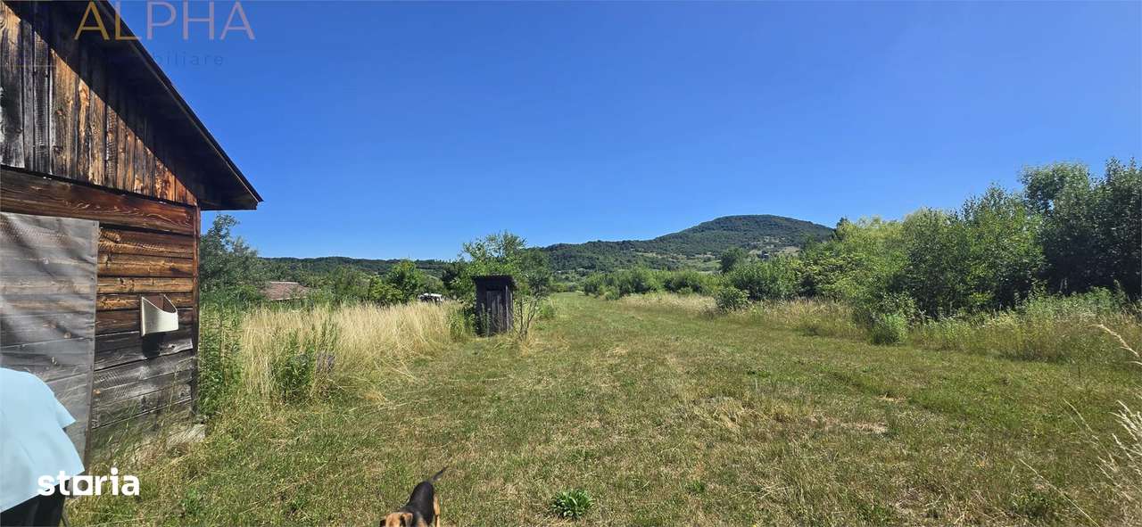 Casa cu teren 5900 mp str. Ghinzii sub padure - Imagine principală: 5/8