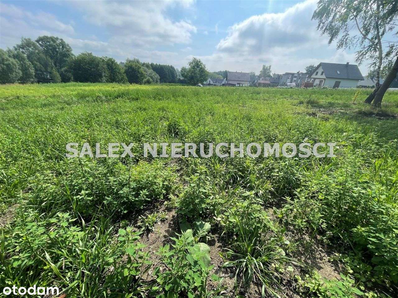 Działki Budowlane Rybnik, Niedobczyce-4297m2-1