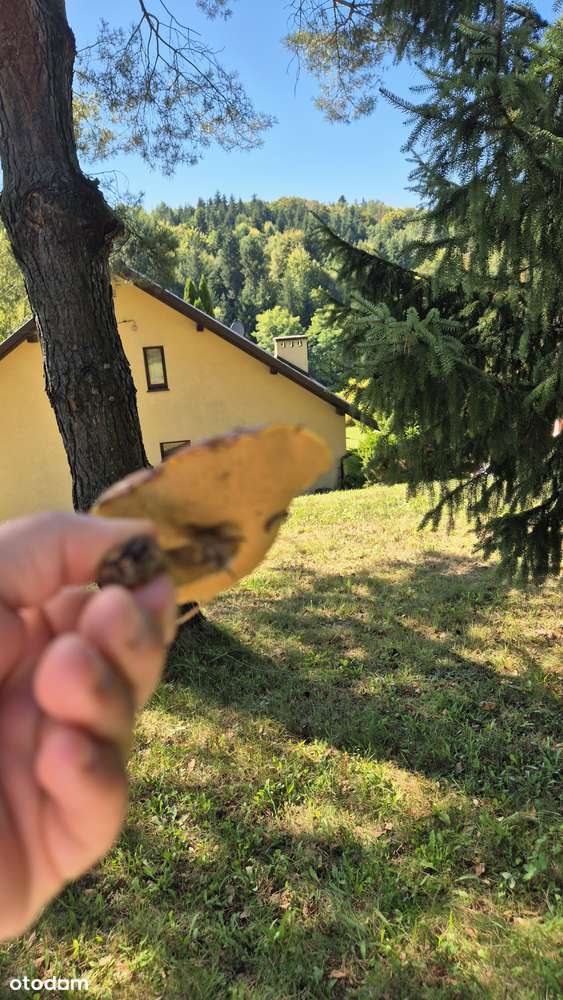 Piękny Dom z widokiem na Sosnowy las|Działka 13 ar| Cicha okolica !-16