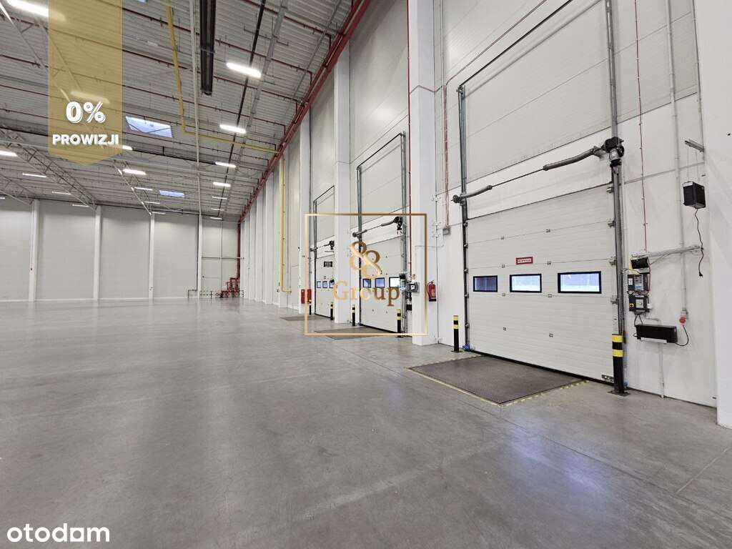 20 tysięcy m2 magazyn do 32 doków cross- Dock - Pełny obrazek: 5/5